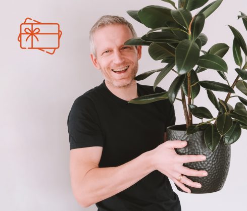 Kursu komplekts dāvanā: Toms Ābele: Elpa ir Miers un Elpa ir Spēks